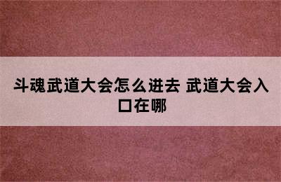 斗魂武道大会怎么进去 武道大会入口在哪